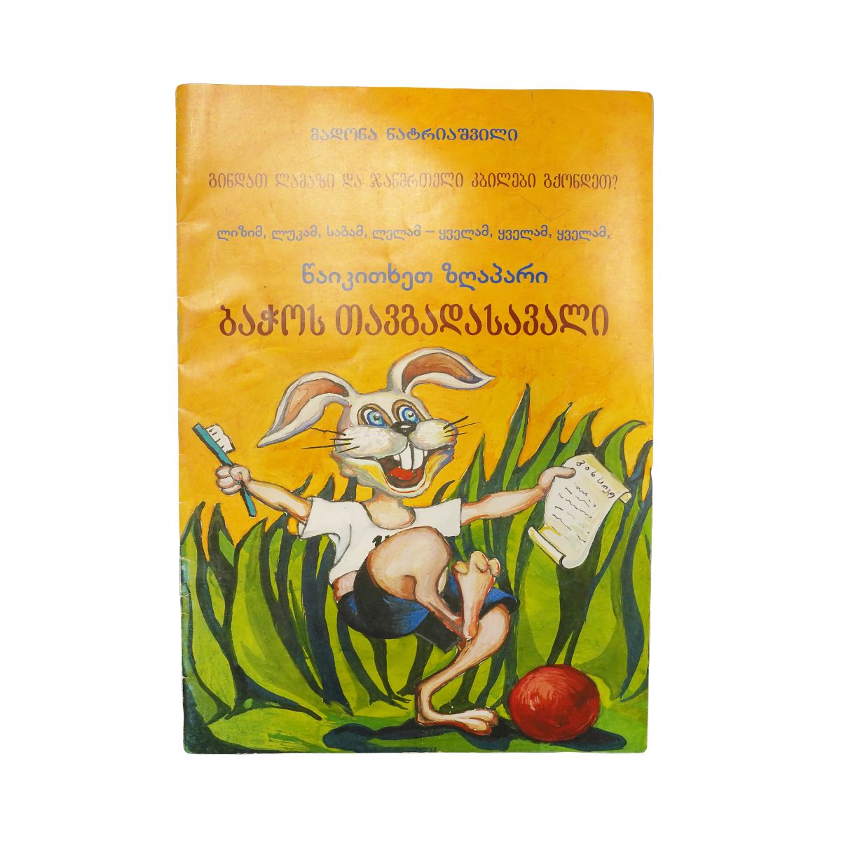 წიგნი ბაჭოს თავგადასავალი